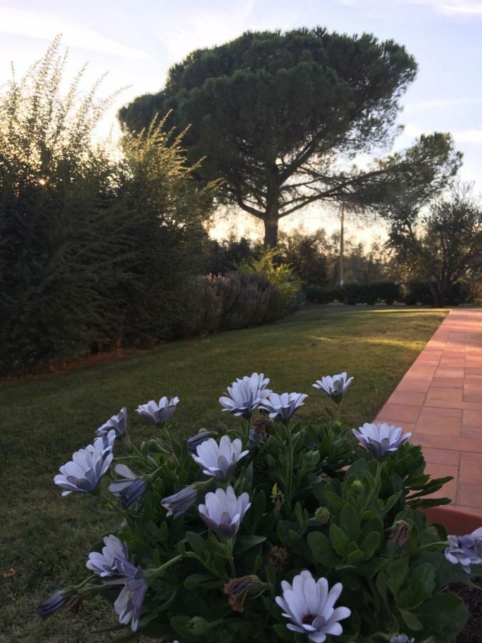 Agriturismo Il Puntoncino Marsiliana Exterior photo
